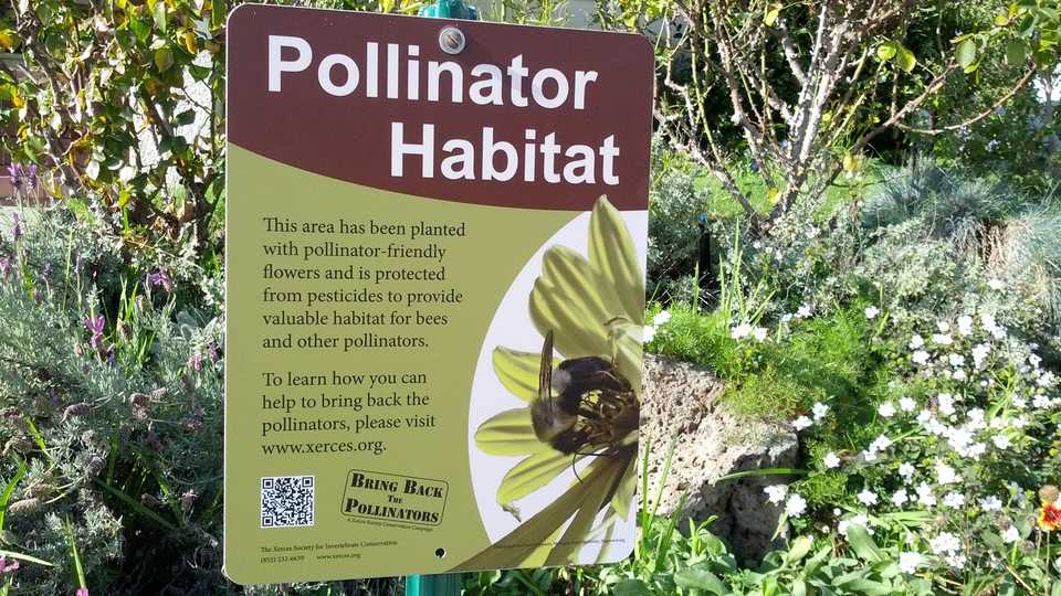 Pollinator Habitat Sign