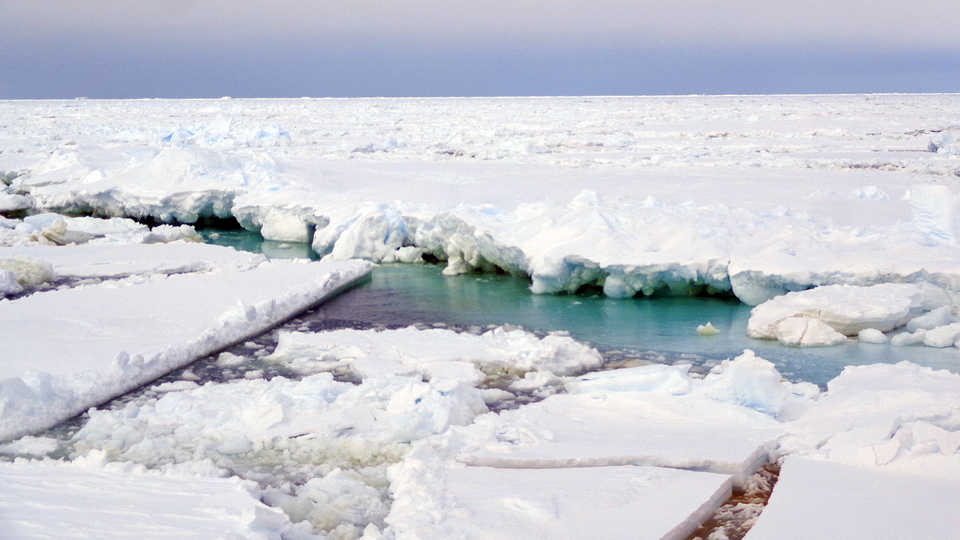 Long View Study No. 48 (The World's Largest Marine Sanctuary)