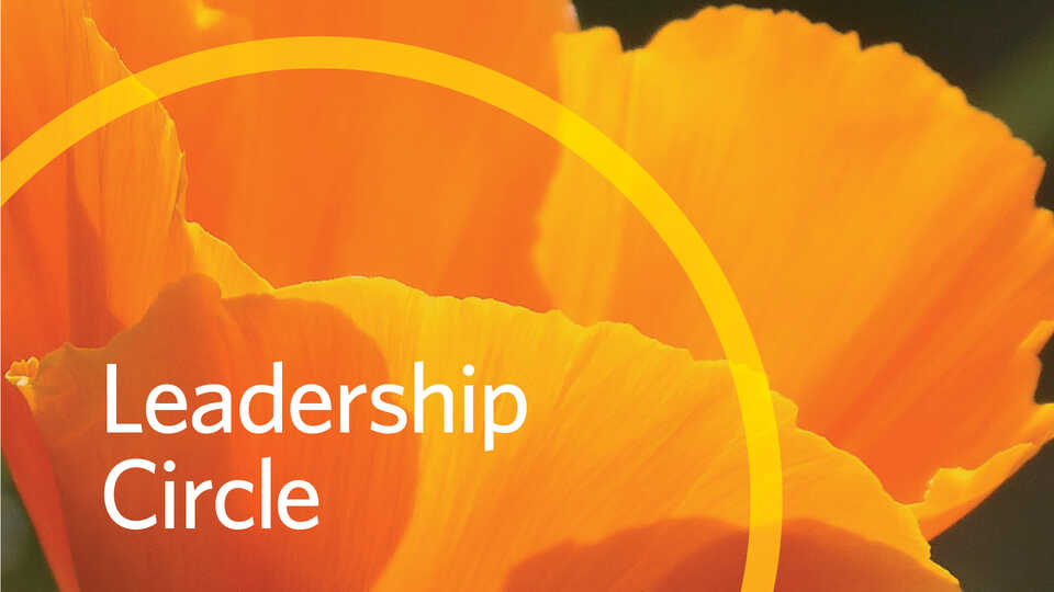 Leadership Circle banner image with orange poppy