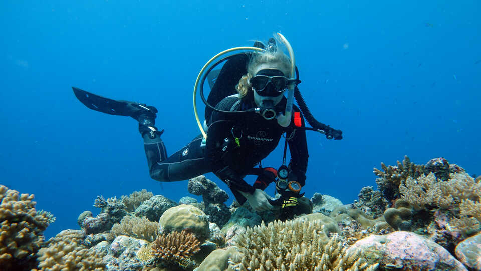 Dr. Rebecca Albright scuba diving in a coral reef