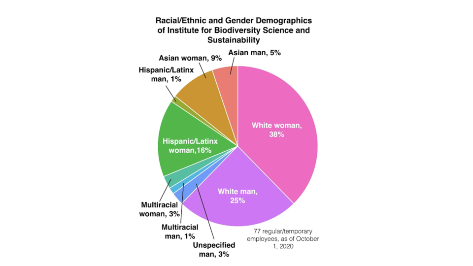 Pie chart showing demographics of research department, 63% white, 14% Asian, 17% Hispanic/Latinx, 4% multiracial, 3% unspecified