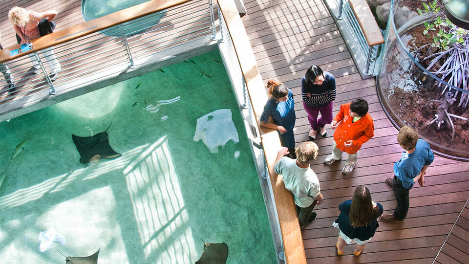 A volunteer speaks with visitors at the Reef Lagoon. 